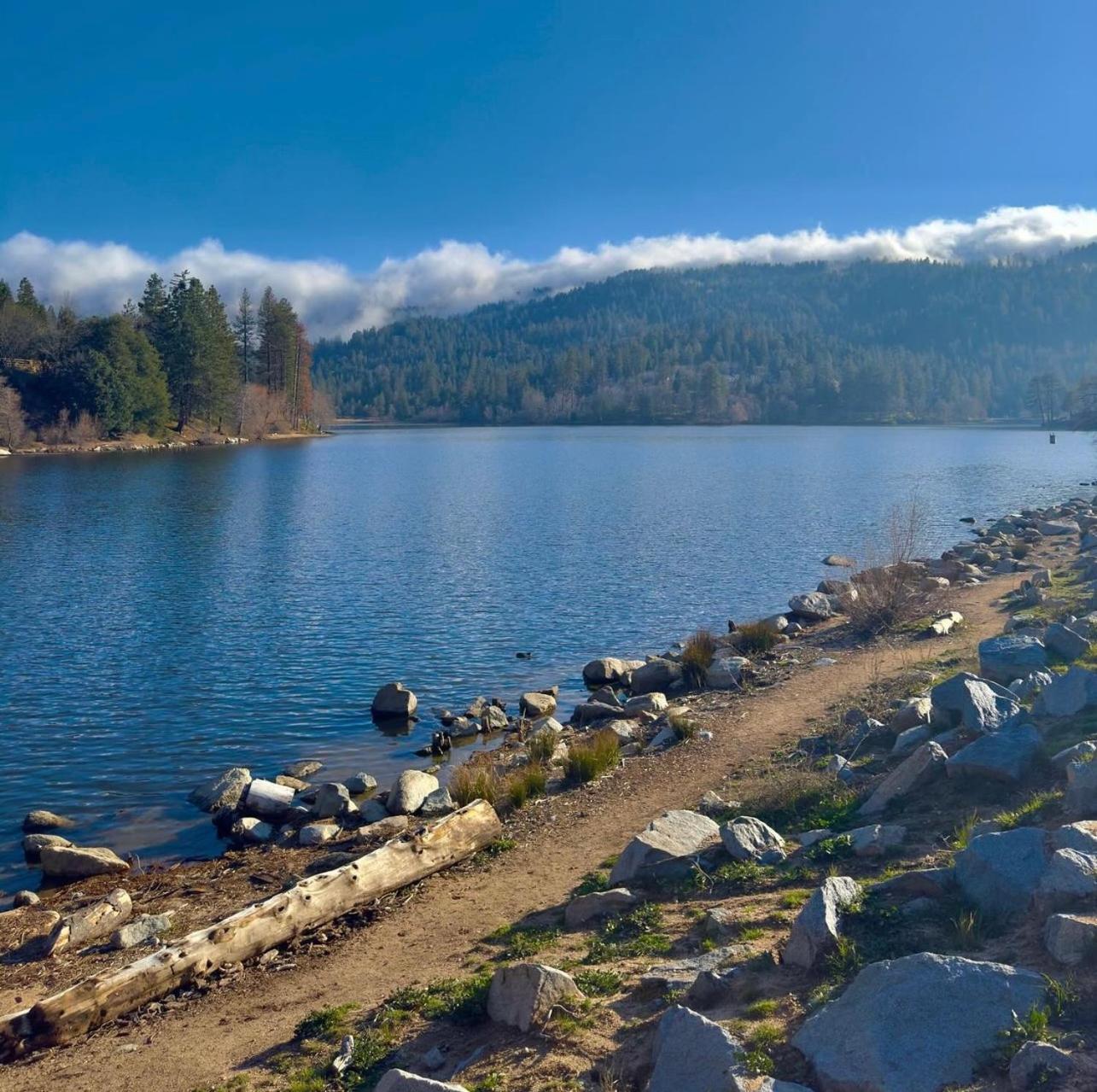Bluebird Cabin Crestline Dış mekan fotoğraf